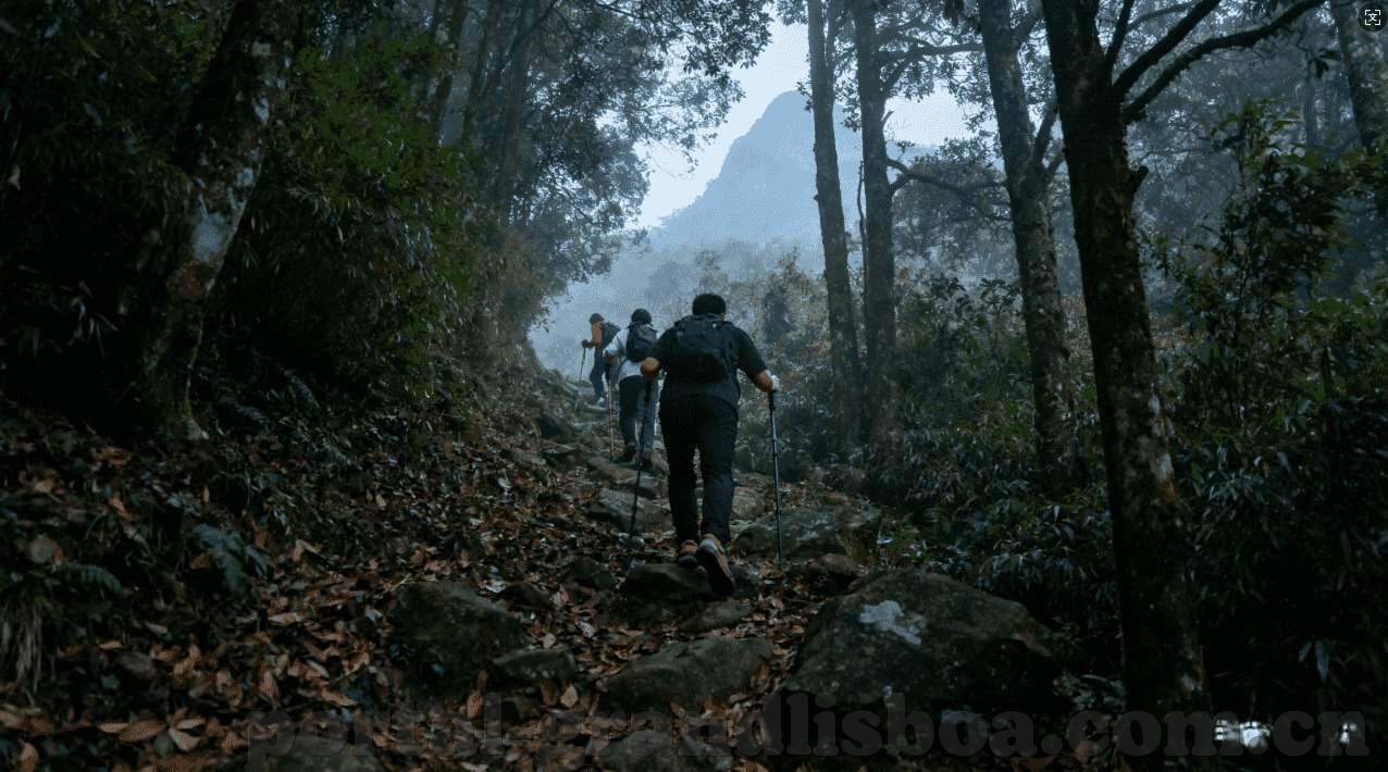 澳门威尼斯人真人赌场-澳门威尼斯人，一个娱乐与休闲的梦幻之地